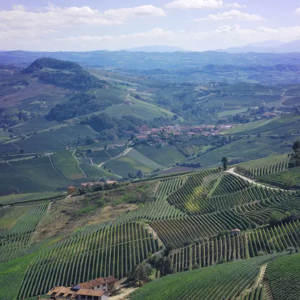 Le colline della Bassa Langa