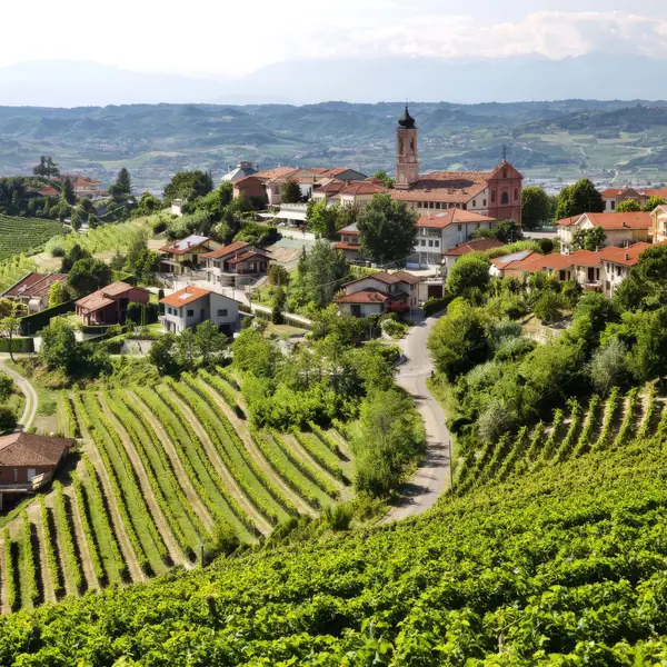 Uno scorcio di Treiso